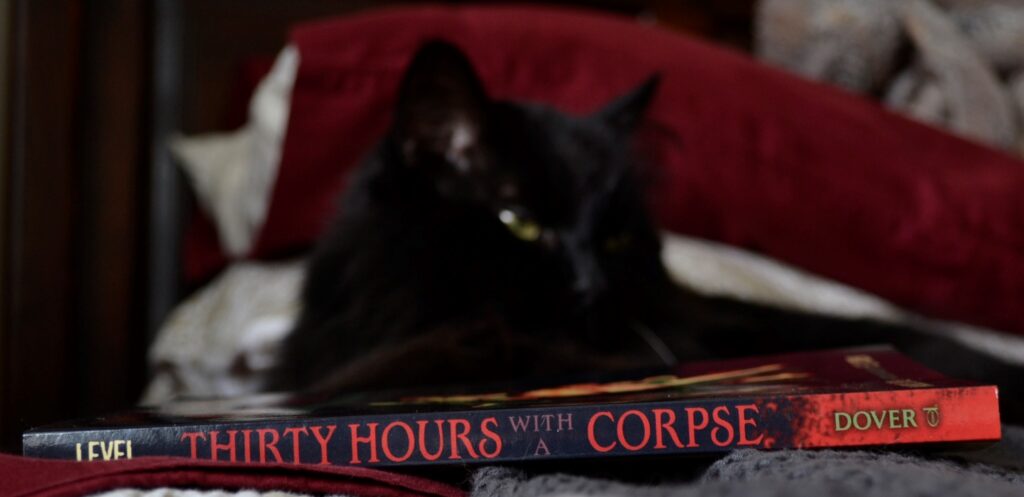 A fluffy black cat sits beside the spine of Thirty Hours with a Corpse.