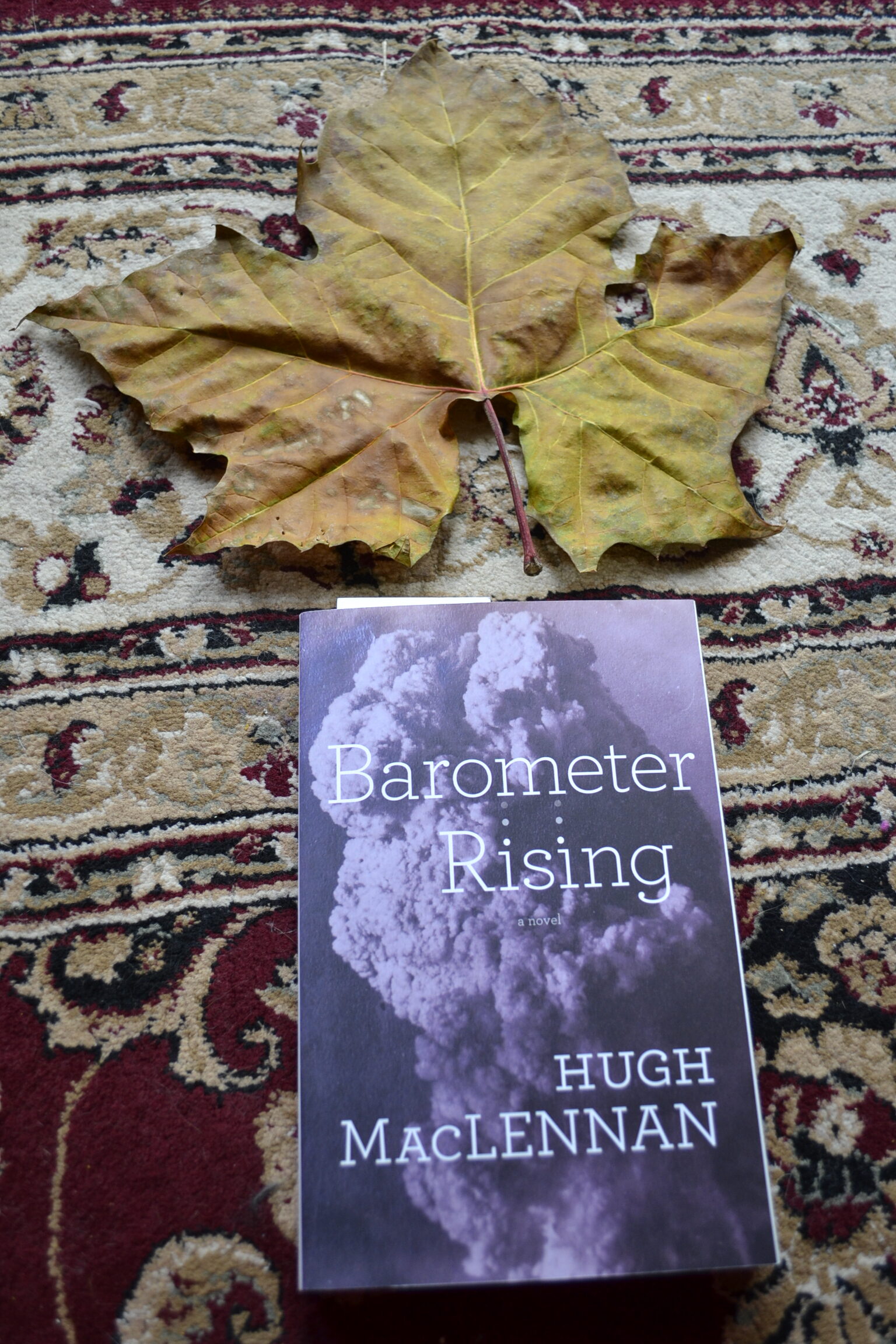 Barometer Rising Old Paper & Cats, Reviews by S. Hargrave