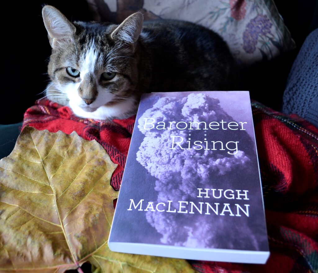 A fawn tabby lays beside a copy of Barometer Rising and a large maple leaf.