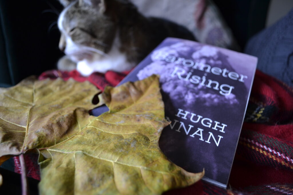 A fawn tabby cat sleeps beside a copy of Barometer Rising and a large maple leaf.