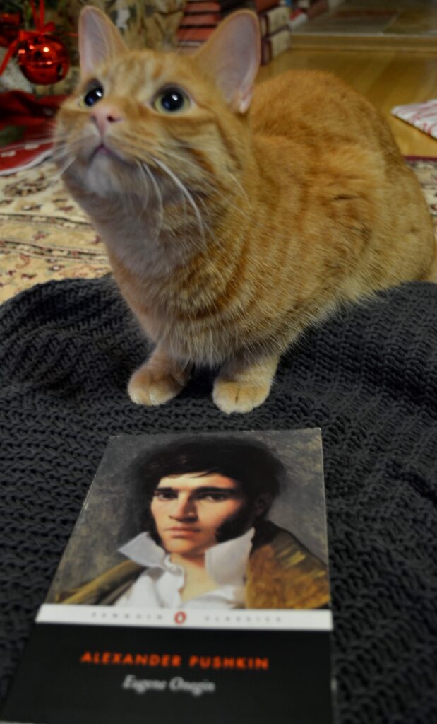 An orange tabby looks up at the camera beside a copy of Eugene Onegin.