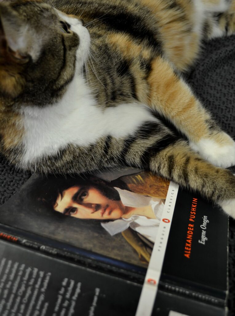A calico tabby cat lounges beside a copy of Eugene Onegin.