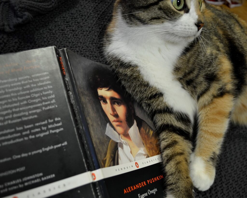 A calico tabby cat lounges beside a copy of Eugene Onegin.