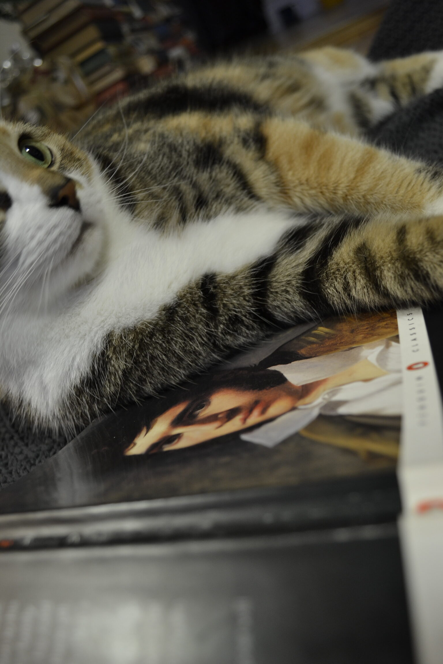A calico tabby cat lounges beside a copy of Eugene Onegin.