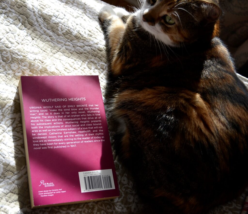 A calico tabby sits beside a copy of Wuthering Heights.