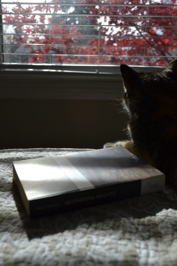 A calico tabby sits beside a copy of Wuthering Heights.