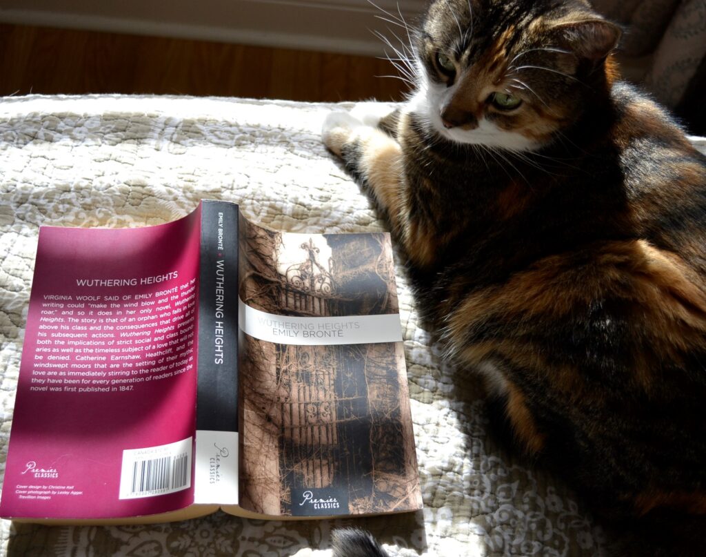 A calico tabby sits beside a copy of Wuthering Heights.