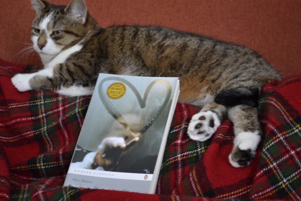 A fawn tabby sits beside The Love of a Good Woman.