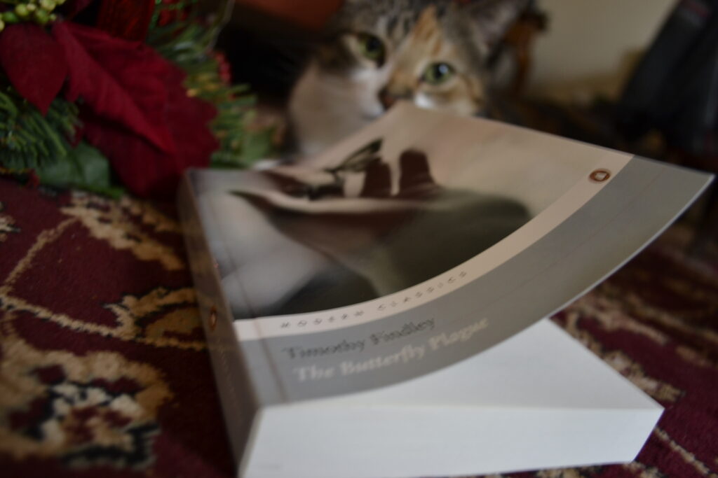 A calico tabby sits behind The Butterfly Plague.