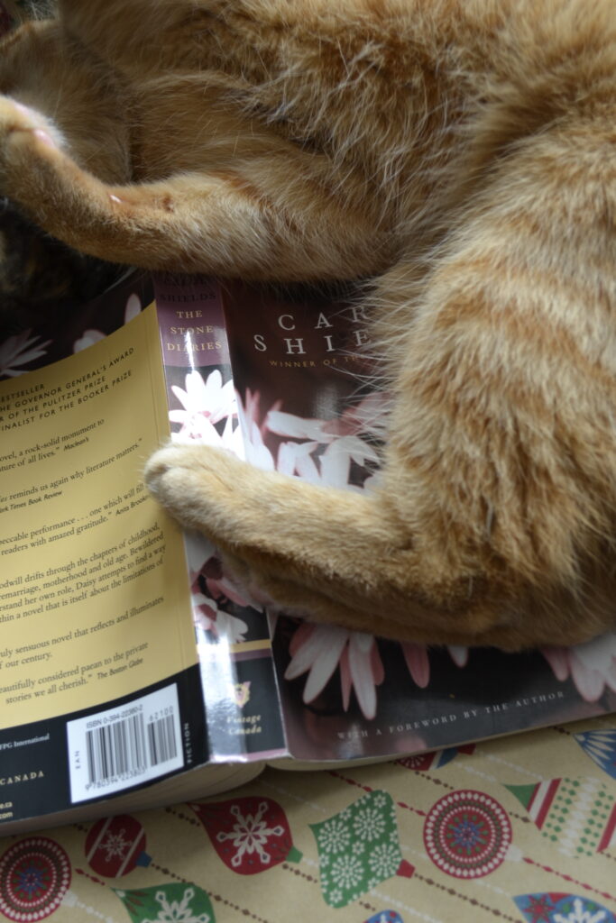 An orange tabby lies on The Stone Diaries.