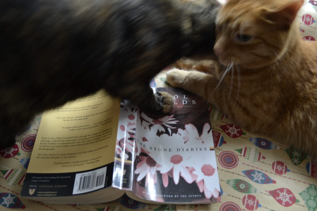 An orange tabby and a tortoiseshell kitten wrestle on The Stone Diaries.