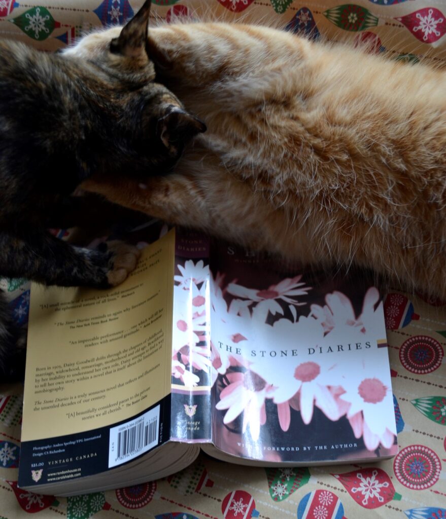 An orange tabby and a tortoiseshell kitten wrestle on The Stone Diaries.