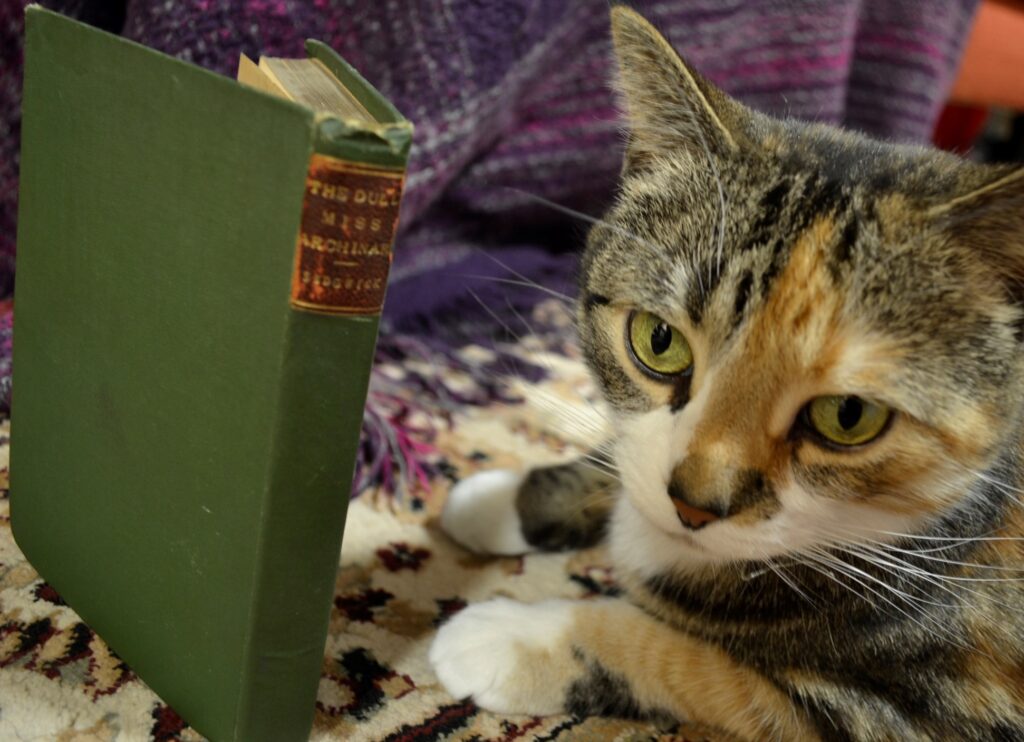 A calico tabby sits beside the green cover of The Dull Miss Archinard.