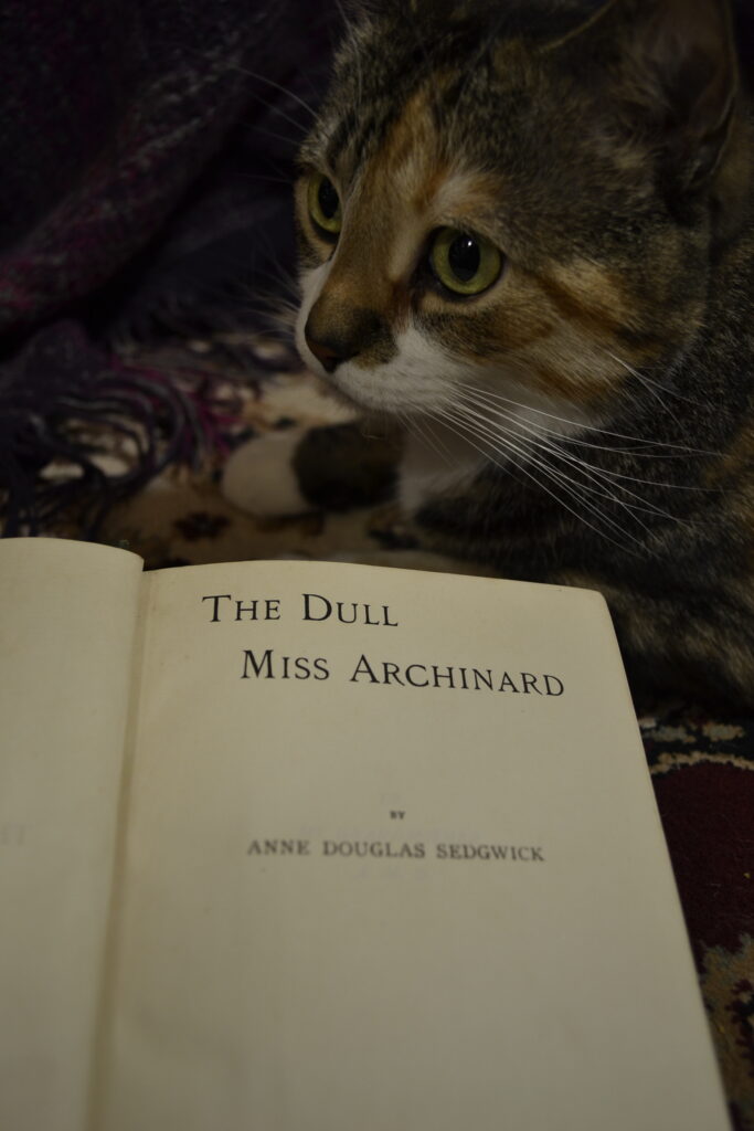 A calico tabby sits beside an open copy of The Dull Miss Archinard.