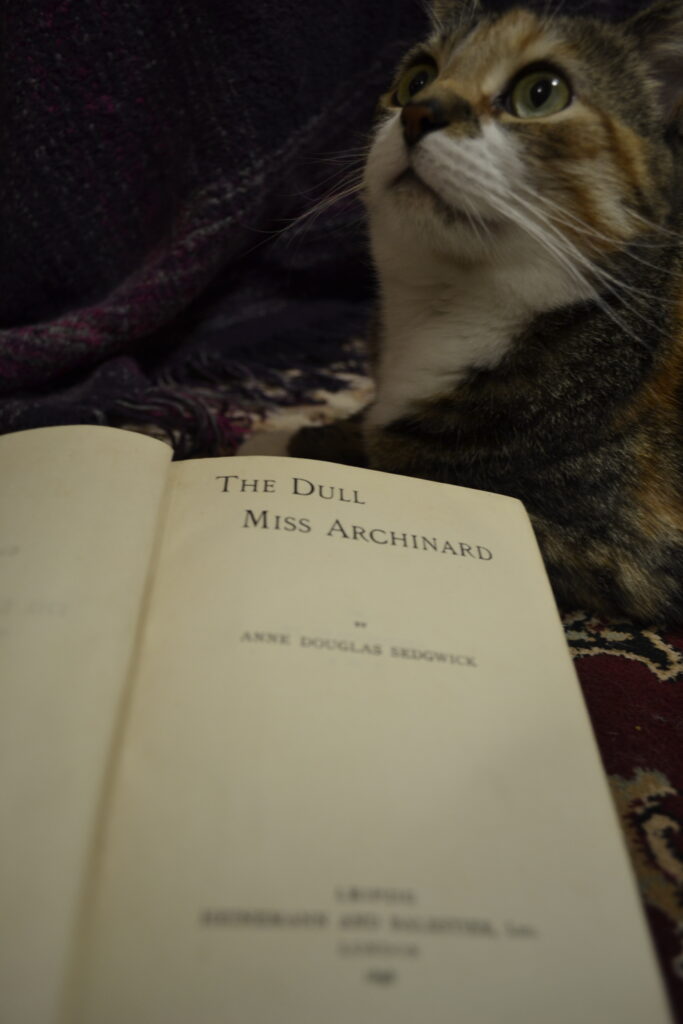 A calico tabby sits beside an open copy of The Dull Miss Archinard.