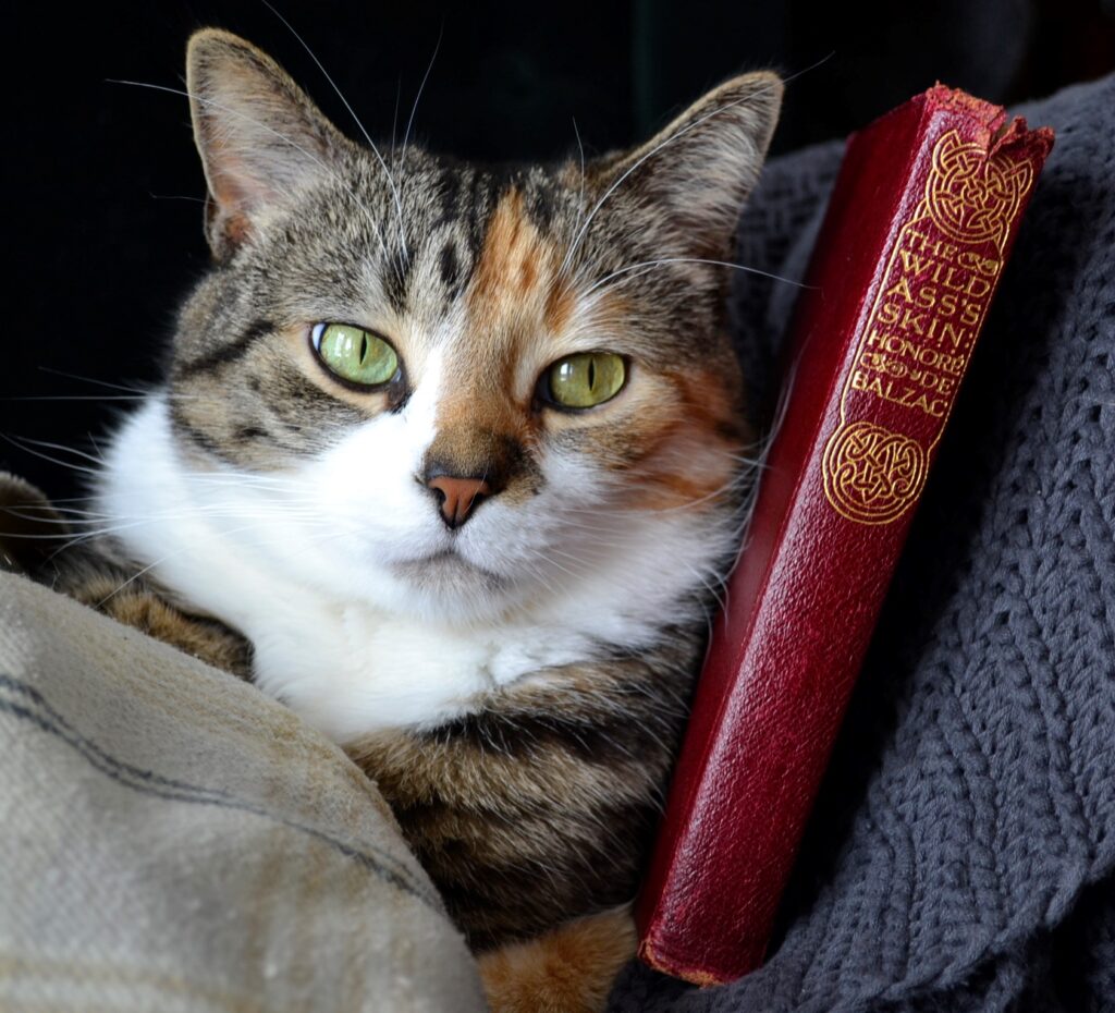 A calico tabby sits beside a 1919 eition of The Wild Ass's Skin.