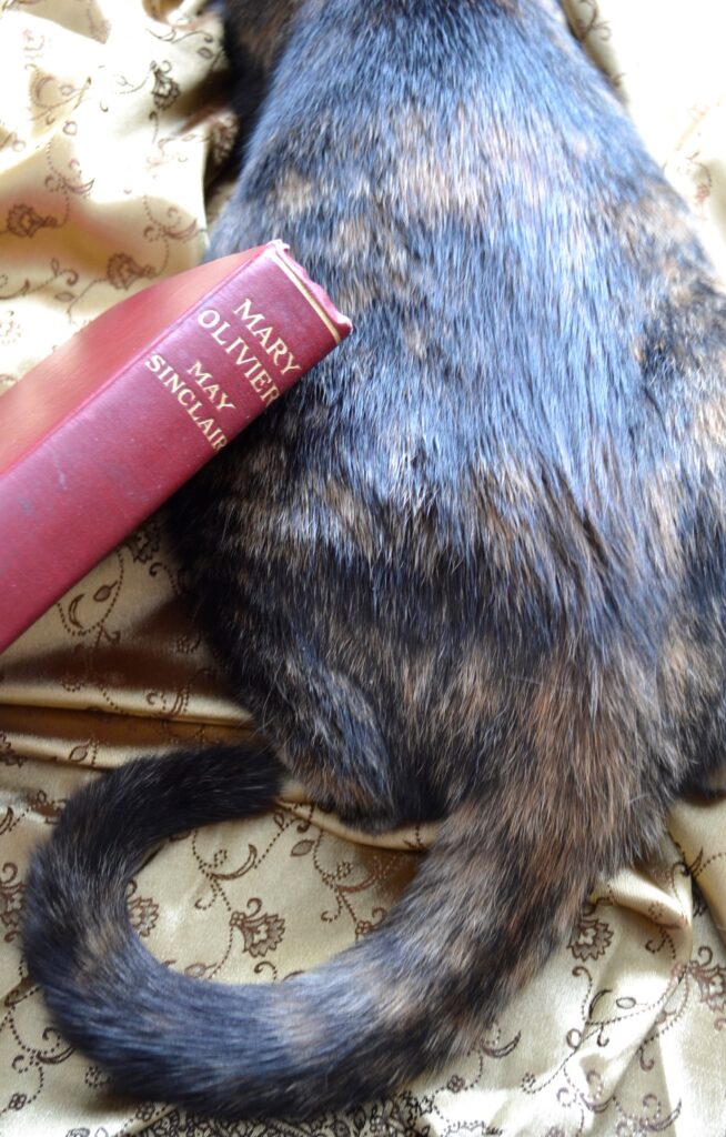 A tortoiseshell kitten sits beside a red 1919 edition of Mary Olivier.