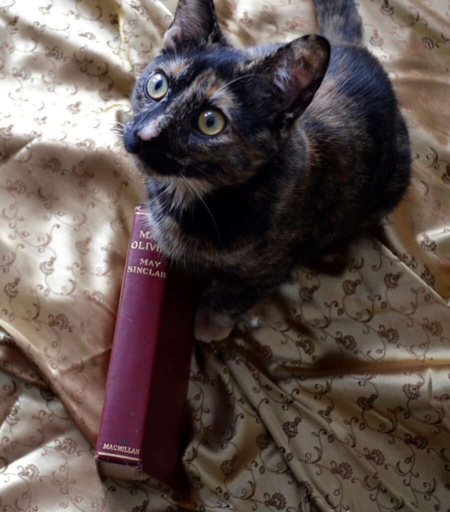 A tortoiseshell kitten sits beside a red 1919 edition of Mary Olivier.