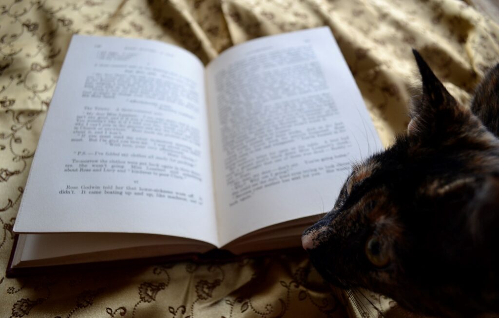 A tortoiseshell kittens noses an open copy of Mary Olivier.