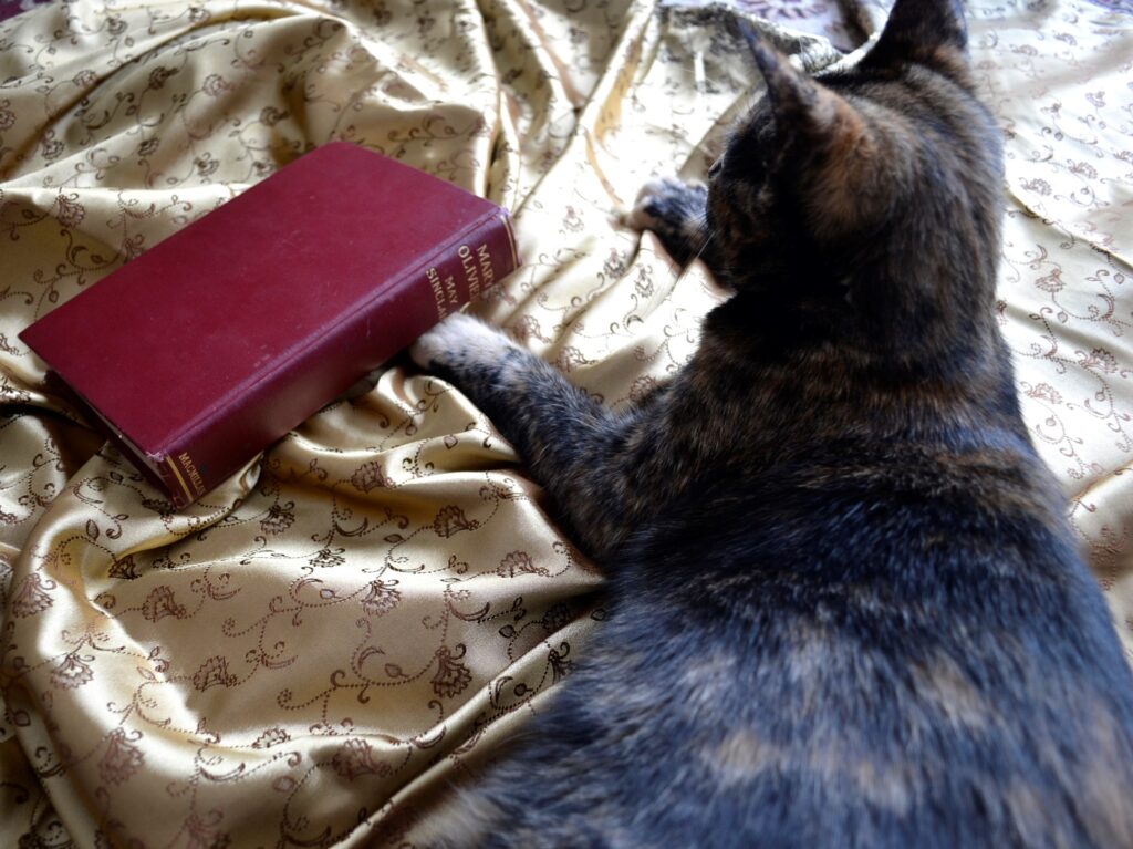 A tortoiseshell kitten sits beside a red 1919 edition of Mary Olivier.