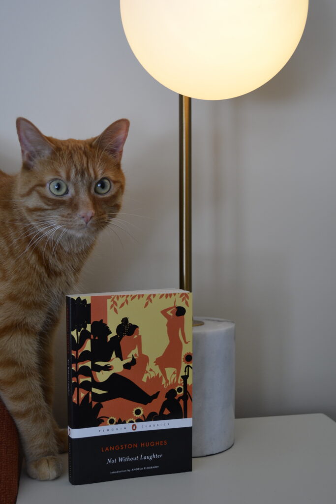 An orange cat and Not Without Laughter stand beneath an art deco 'moon' lamp.