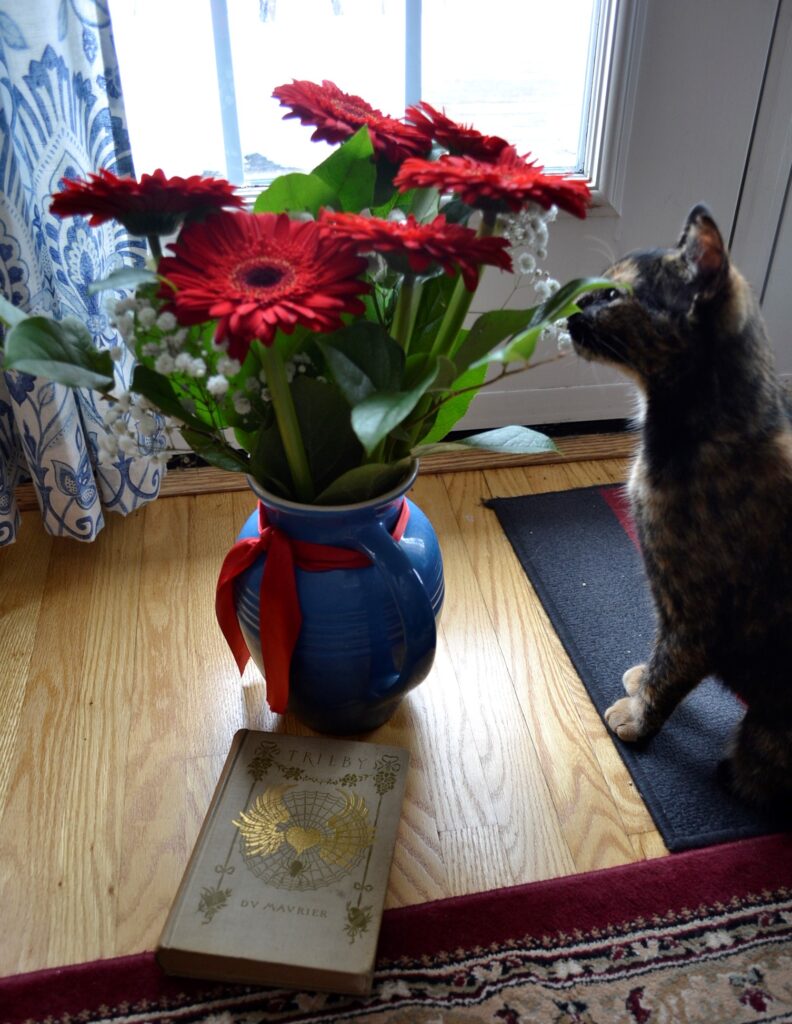 A tortoiseshell kitten sniffs some red flowers beside Trilby.