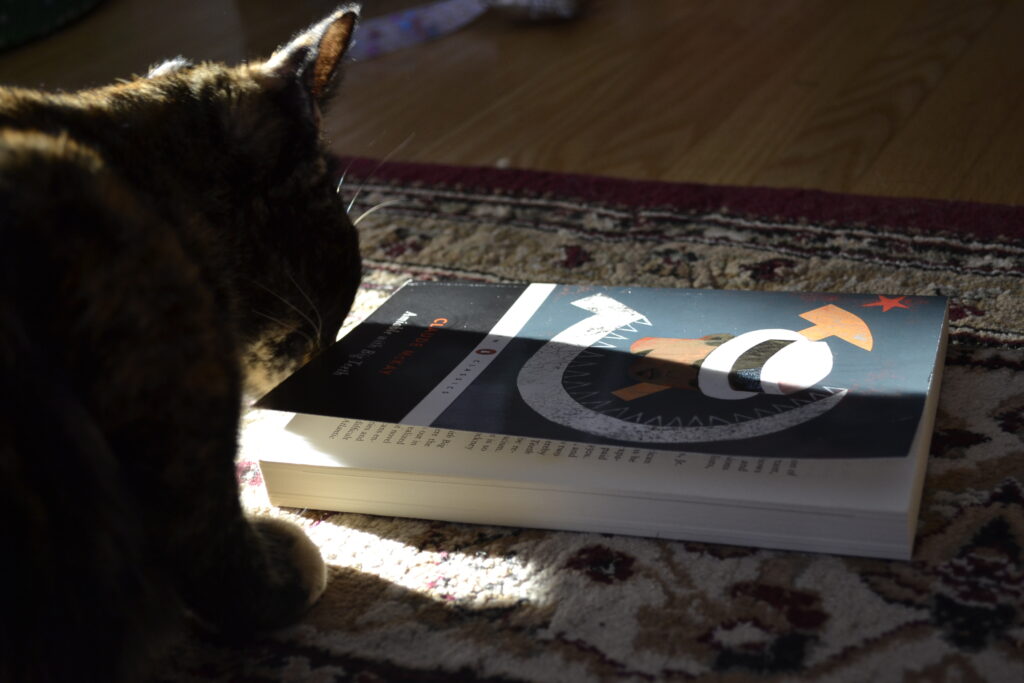 A tortoiseshell kitten sits beside Amiable with Big Teeth.