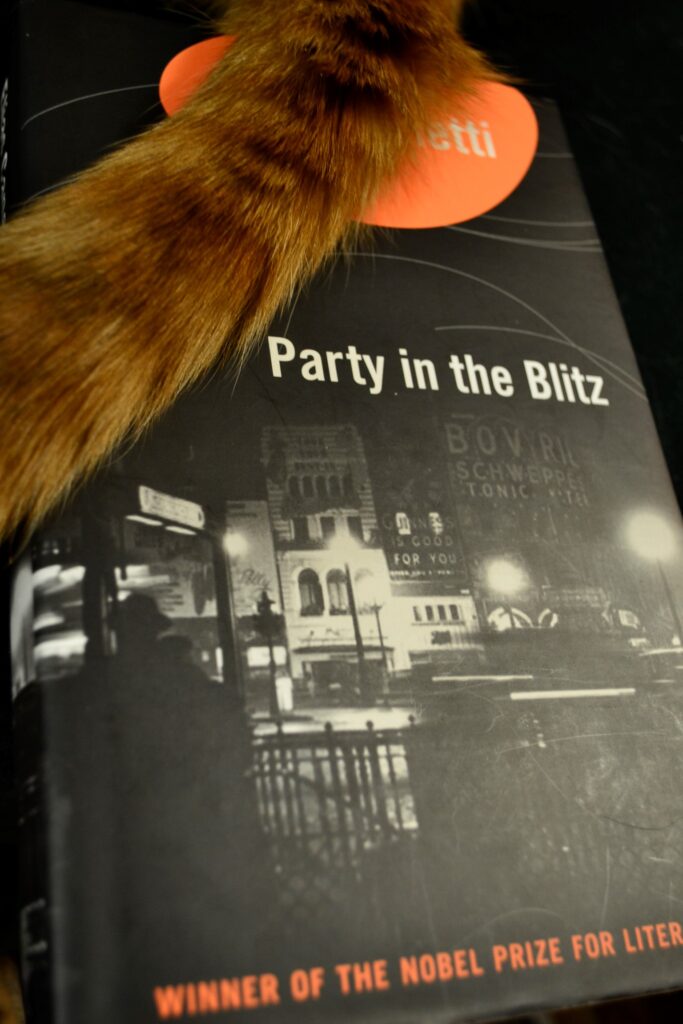 An orange tabby's tail lies across Party in the Blitz.