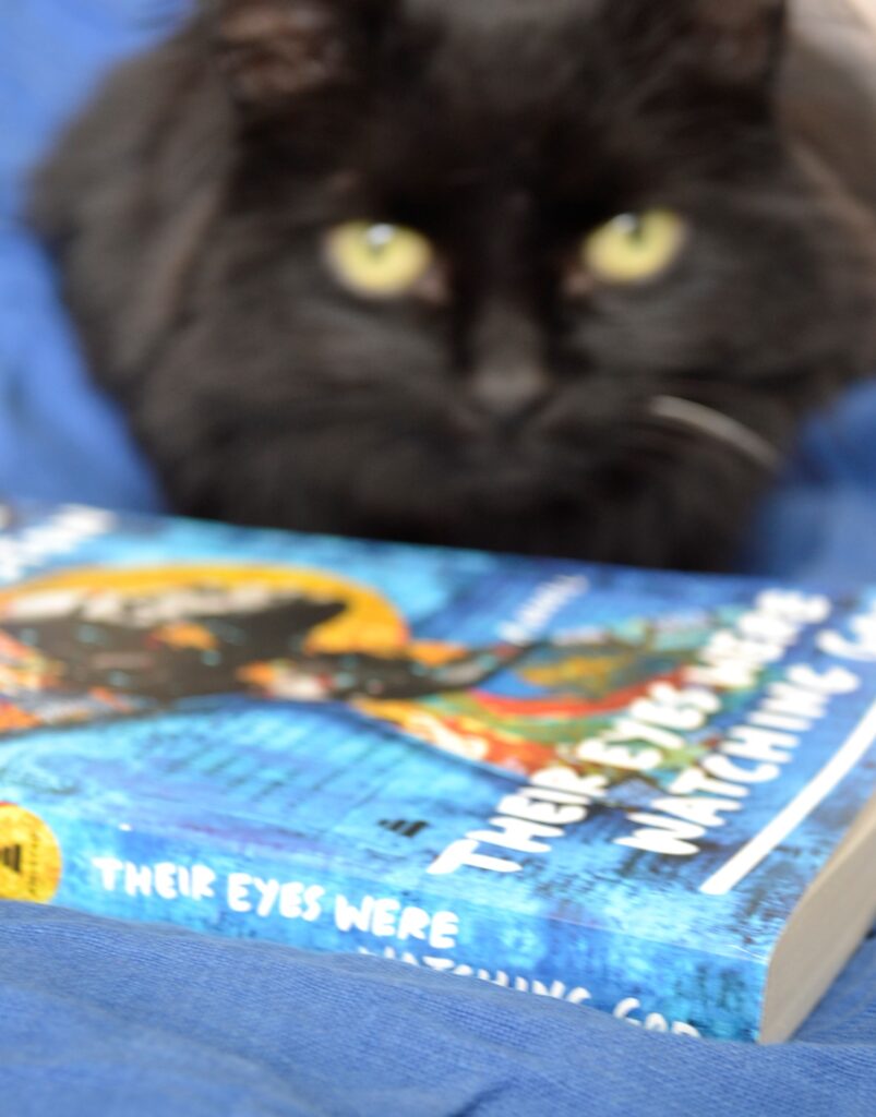 A black cat sits behind a bright blue copy of Their Eyes Were Watching God.