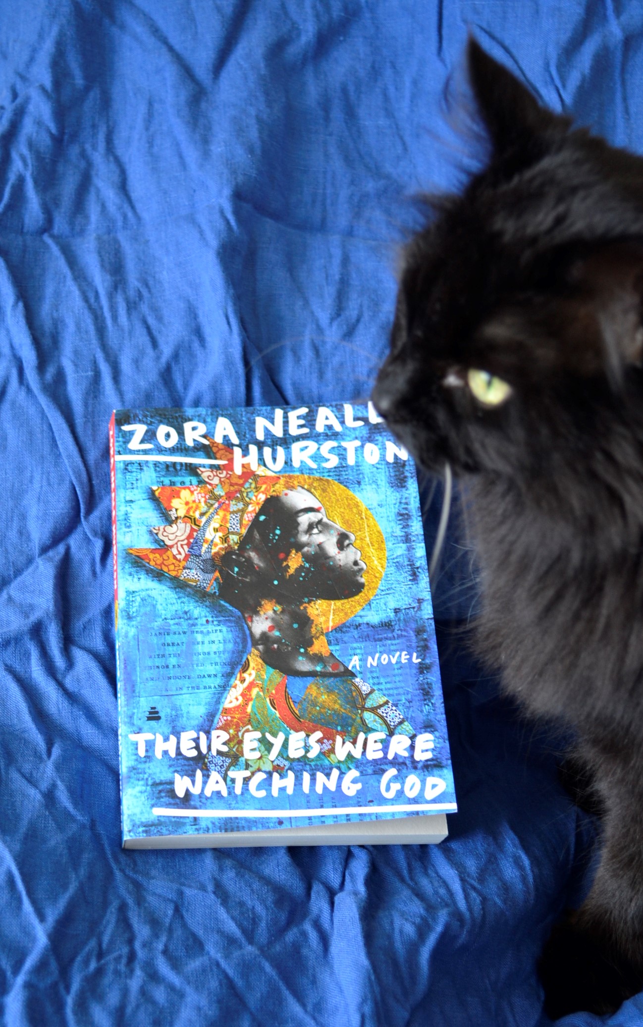 A black cat sits beside a bright blue copy of Their Eyes Were Watching God.