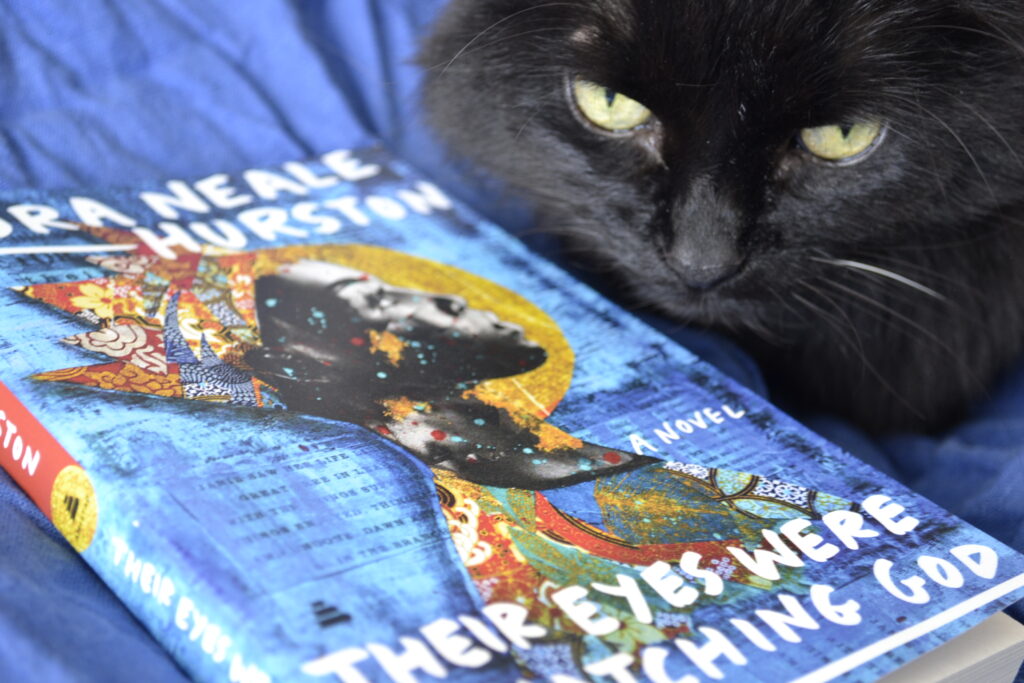 A black cat sits beside a bright blue copy of Their Eyes Were Watching God.