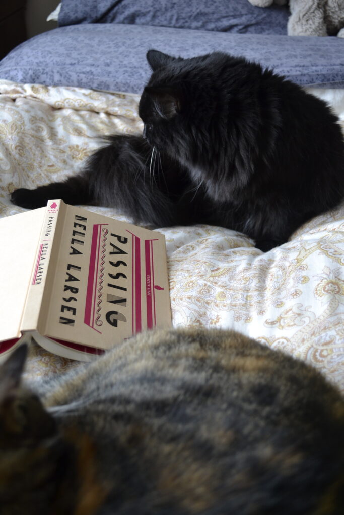 A black cat and a tabby sit beside Passing.