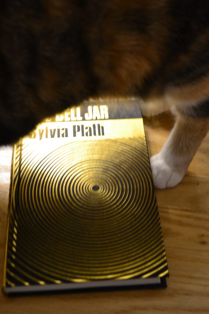 A calico cat stands on The Bell Jar.