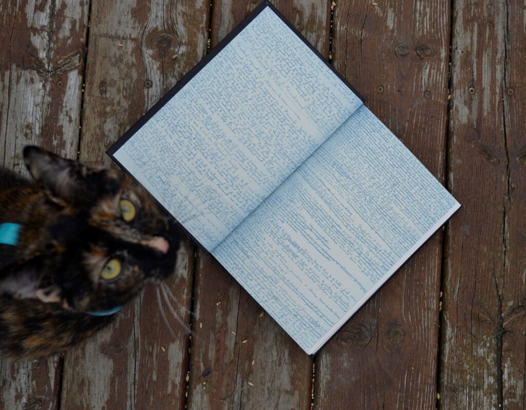 A tortoiseshell cat stands beside Suite Française.