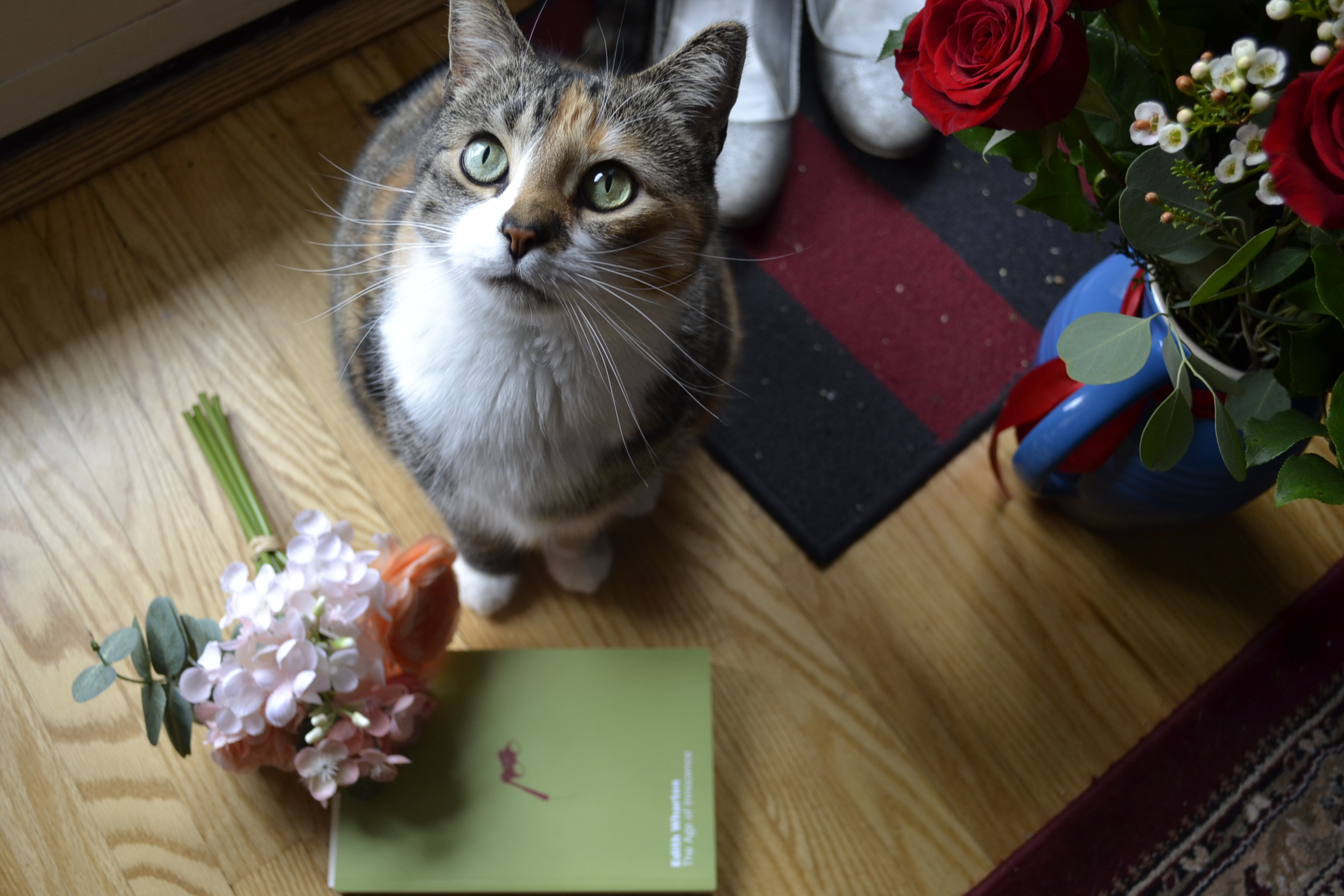 A calico tabby sits beside pink flowers and The Age of Innocence.