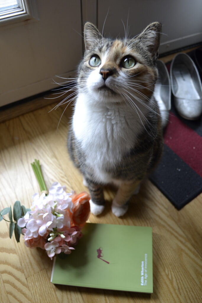 A calico tabby sits beside pink flowers and The Age of Innocence.