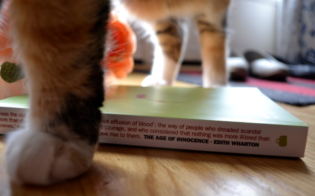Calico paws beside the spine of The Age of Innocence.