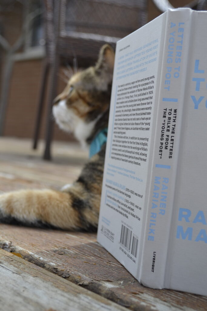 A calico tabby lays behind Letters to a Young Poet.