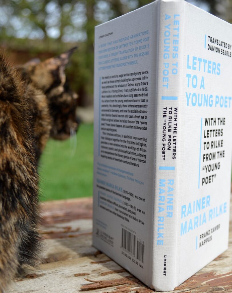 A tortoiseshell kitten crouches beside Letters to a Young Poet.