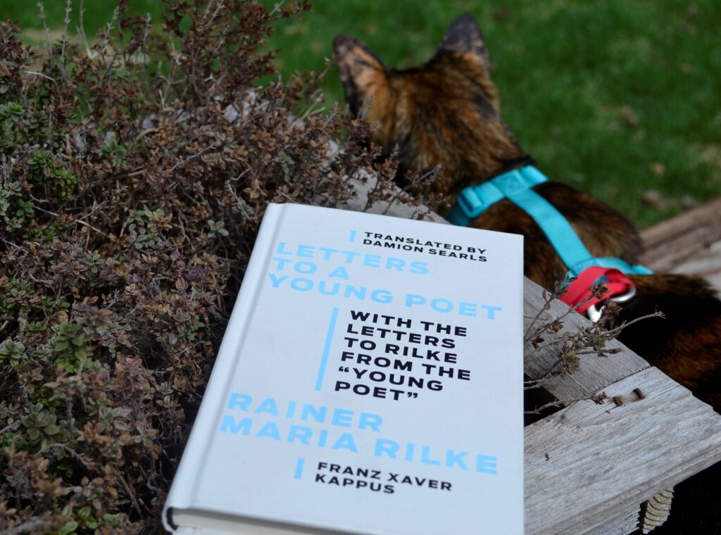 A tortoiseshell kitten sits beside Letters to a Young Poet.