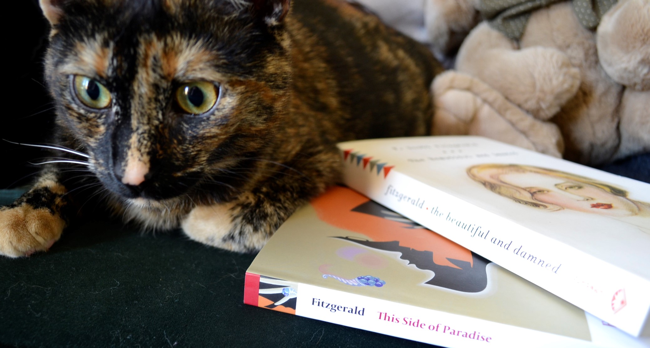 A tortoiseshell kitten sits beside two books by the Fitzgeralds.