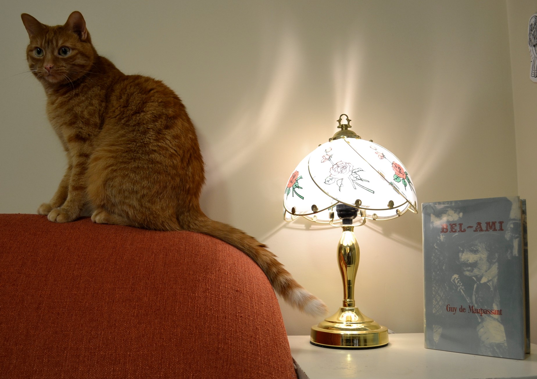 An orange tabby sits beside a brass lamp and Bel-Ami.