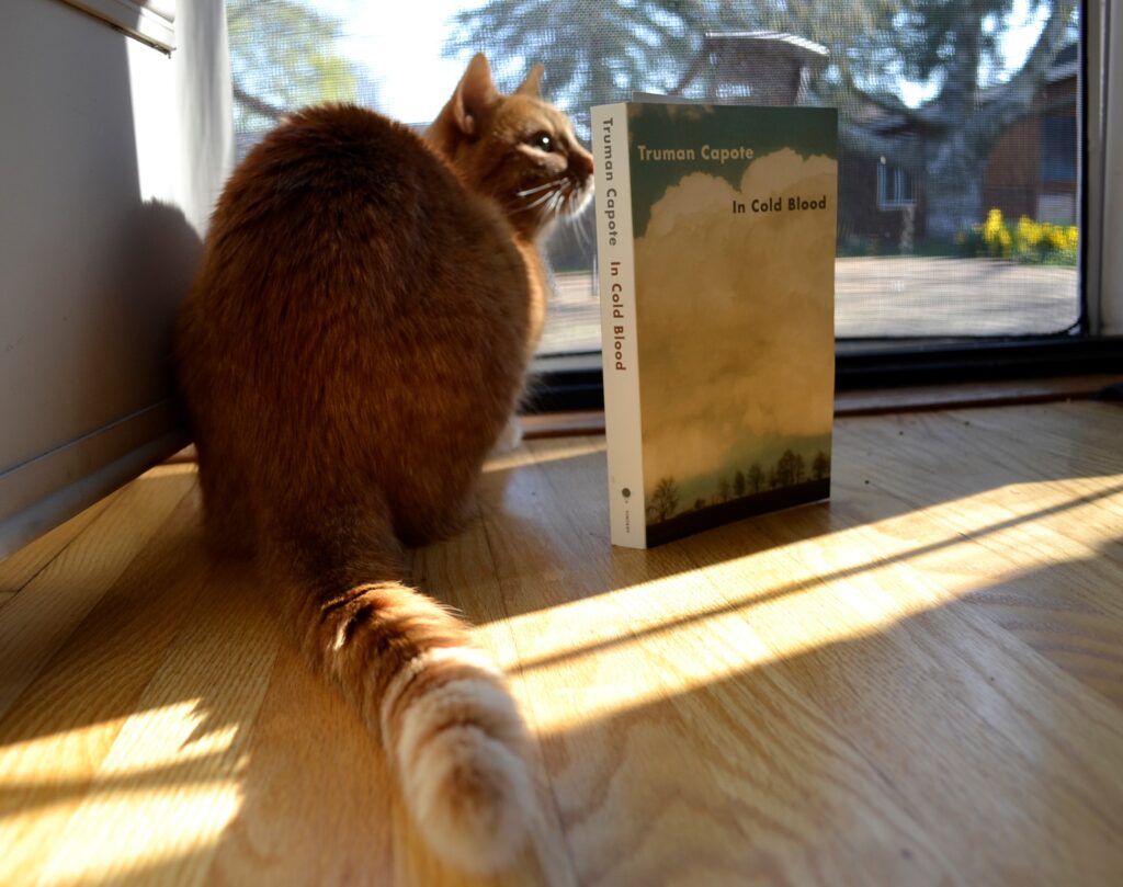 An orange tabby sits beside In Cold Blood.