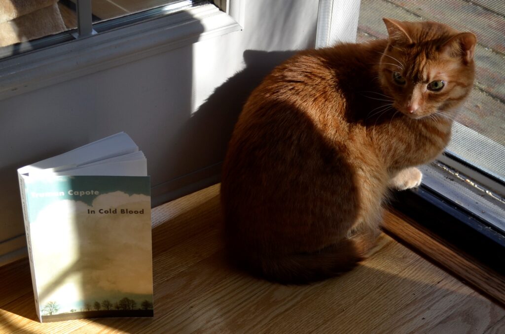 An orange tabby sits beside In Cold Blood.