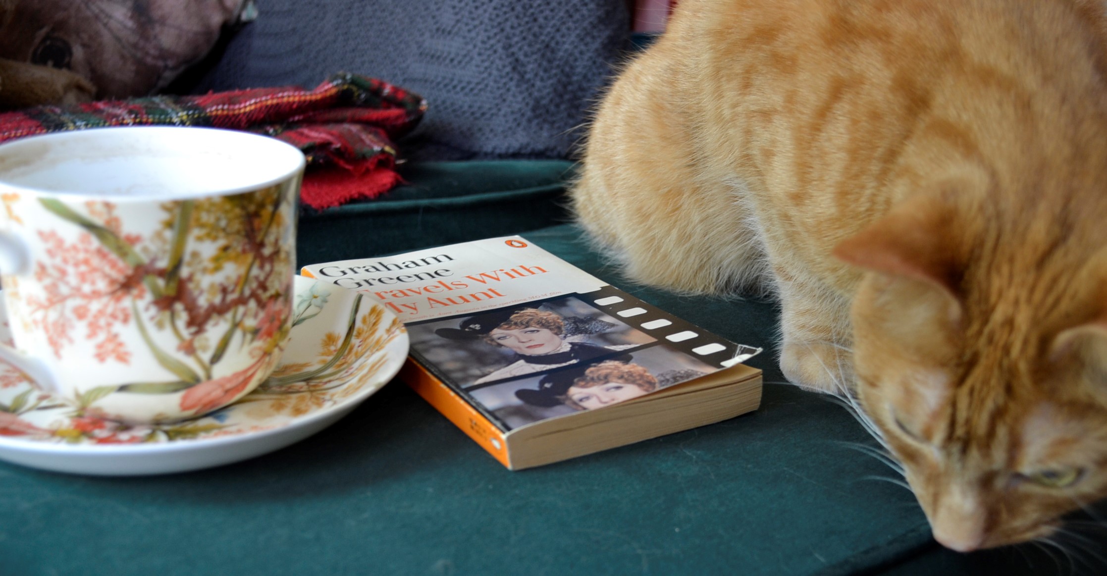 An orange tabby crouched beside a teacup and Travels with My Aunt.