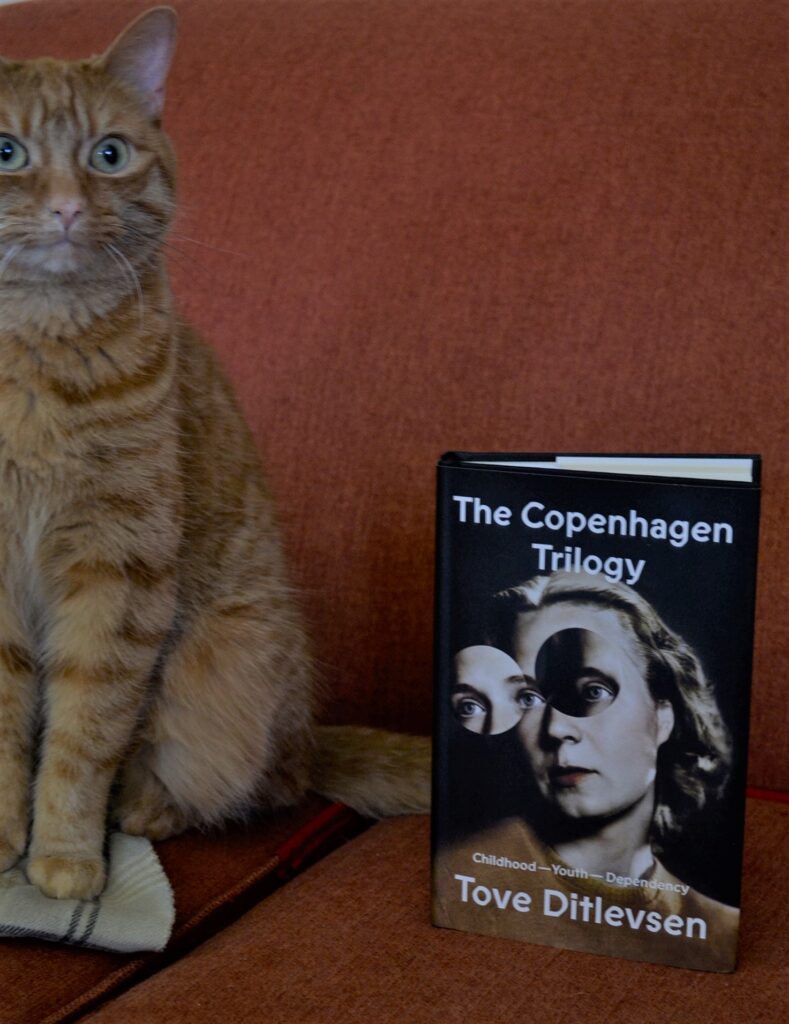 An orange cat sits beside a copy of The Copenhagen Trilogy.