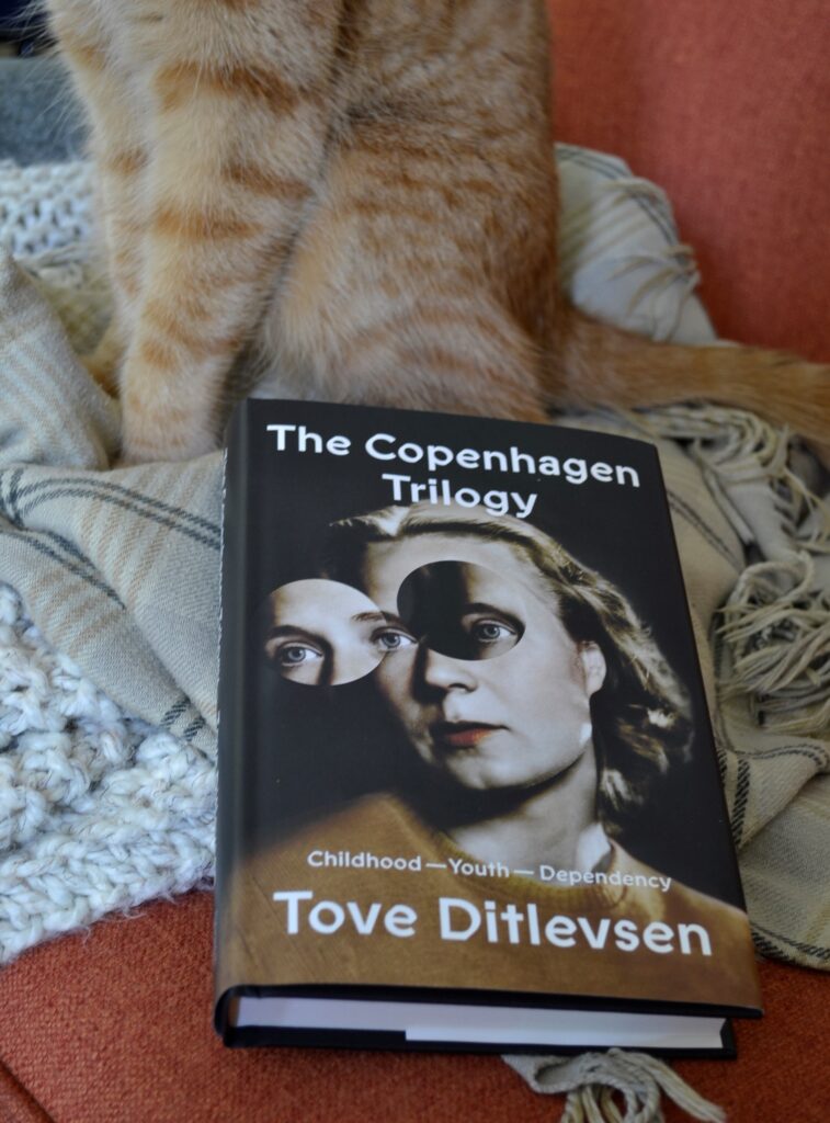 An orange cat sits beside a copy of The Copenhagen Trilogy.
