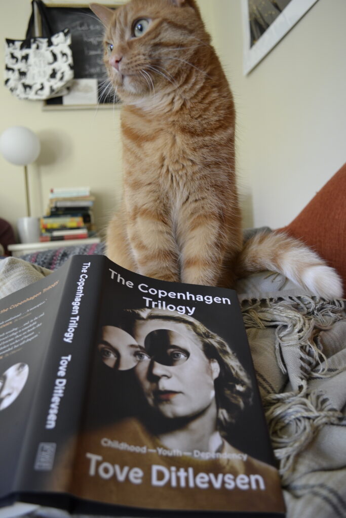 An orange cat sits beside a copy of The Copenhagen Trilogy.