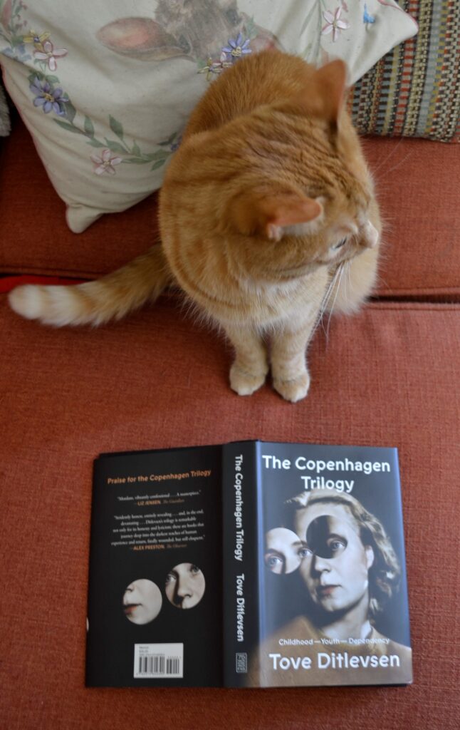 An orange cat sits beside a copy of The Copenhagen Trilogy.