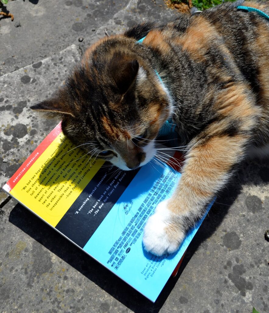 A calico tabby paws the bright cover of Fear and Loathing in Las Vegas.